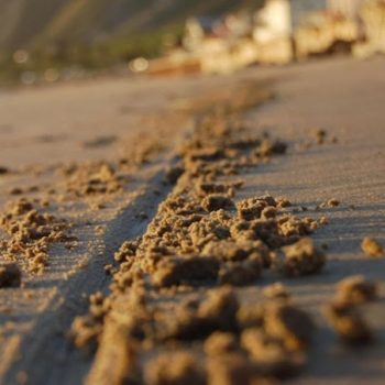 line-in-sand-700x452