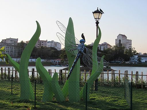 Chetpet-Eco-Park-Chennai-Boating-8
