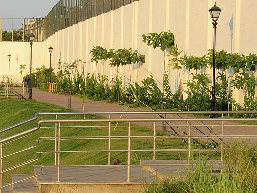 Chetpet-Eco-Park-Chennai-Boating-7