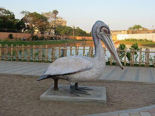 Chetpet-Eco-Park-Chennai-Boating-5