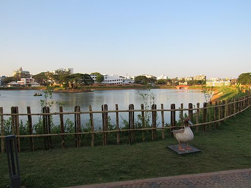 Chetpet-Eco-Park-Chennai-Boating-10
