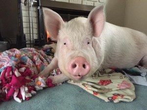 Esther-in-Bed-750x563