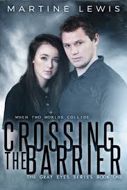 crossing the barrier by martine lewis