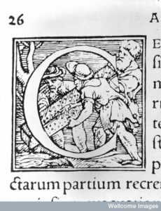 L0028523 A. Vesalius, De humani corporis fabrica, 1543 Credit: Wellcome Library, London. Wellcome Images images@wellcome.ac.uk http://wellcomeimages.org Initial letter 