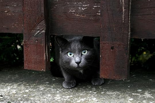 Guilt is an artificial barrier.