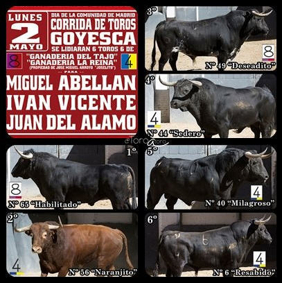 Toros Goyesca