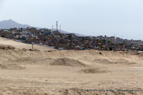 The Neighbors Next Door