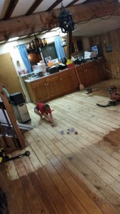 The kids helped, but seriously, I wish I had rented a big sander sooner.