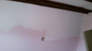 Finally time to paint!