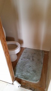 Ugh, this toilet in the closet needs to be a real bathroom