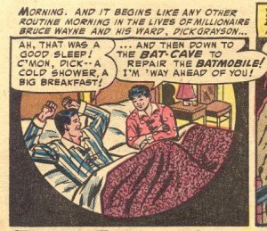 One of the panels Wertham deems 