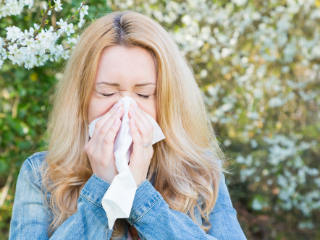 Did Grok Suffer from Seasonal Allergies Final