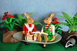 Book Bunnies