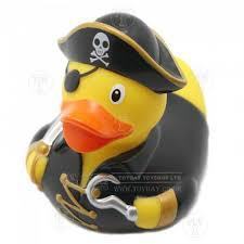 duck7