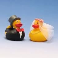 duck9