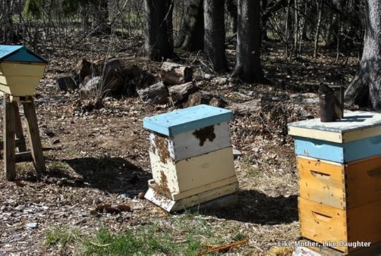 Splitting the hive ~ Like Mother, Like Daughter