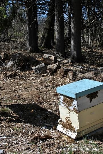splitting the hive ~ Like Mother, Like Daughter