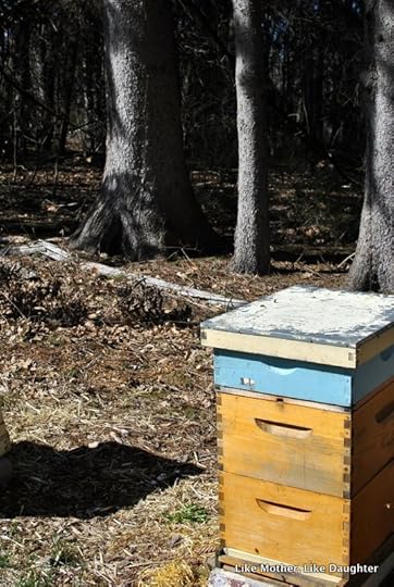 splitting the hive ~ Like Mother, Like Daughter