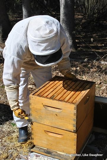 Splitting the hive ~ Like Mother, Like Daughter