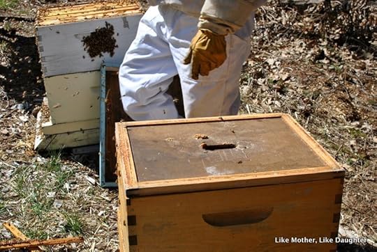 splitting the hive ~ Like Mother, Like Daughter-019