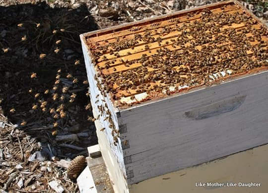 Splitting the hive ~ Like Mother, Like Daughter