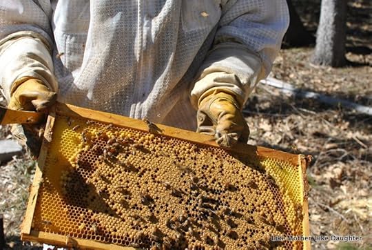 Splitting the hive ~ Like Mother, Like Daughter