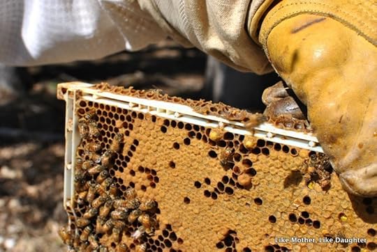 Splitting the hive ~ Like Mother, Like Daughter