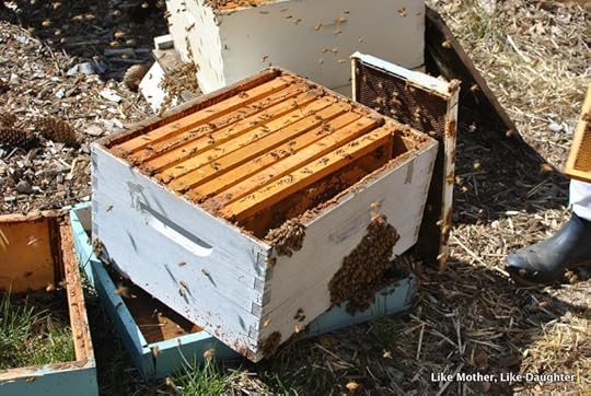 Splitting the hive ~ Like Mother, Like Daughter