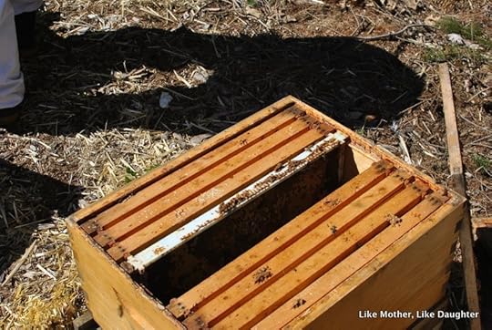 splitting the hive ~ Like Mother, Like Daughter-013