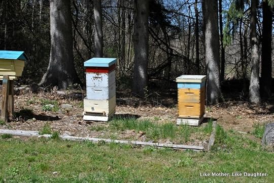 splitting hive ~ Like Mother Like Daughter