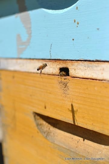 splitting hive ~ Like Mother Like Daughter