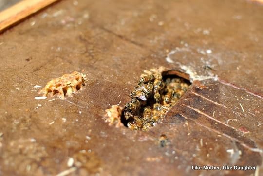 splitting hive ~ Like Mother Like Daughter