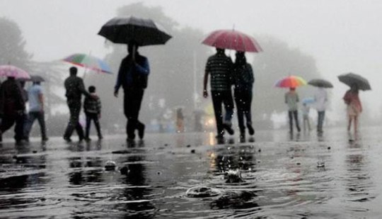 rain waterlog