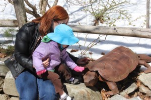 Auntie Lisa and Piper admiring the big turtle.