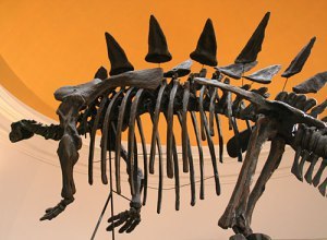 Tuojiangosaurus