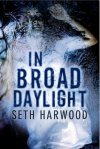 in-broad-daylight