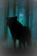 wolf-art-the-anubians-wolf-pack-18046560-757-922 - Copy