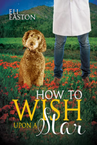 HowToWishUponAStar-Howl4-600x900