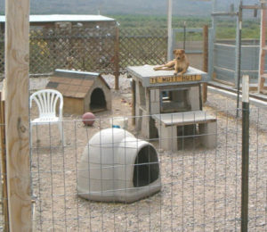 Ye Mutt Hut sm
