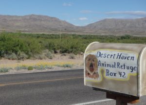in_front_of_Desert_Haven.133135752_std