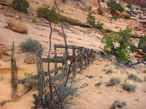 neck springs trail water-trough
