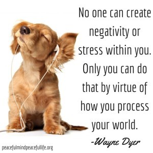 No one can create negativity or stress within you. Only you can do that by virtue of how you process your world.-Wayne Dyer