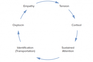 diagram of stories and brain chemicals
