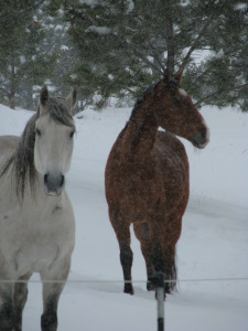 April snow