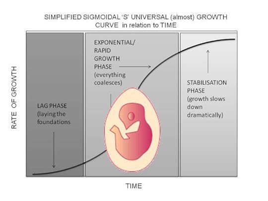 scaling embryo