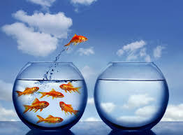 What if someone moves the bowl, or it's vodka, not water?