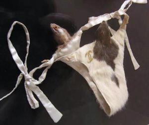 Taxidermy Underwear