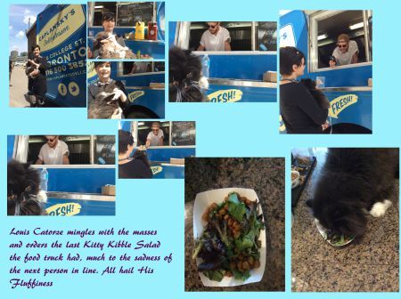 Cat Food Truck
