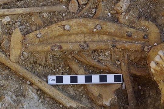 A decorated bone comb found during the excavation of a grave.