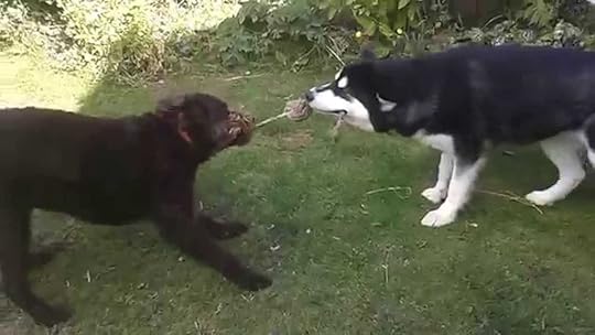  photo maxresdefault_zpsmvnyna3a.jpg